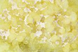Lemon-Yellow Ettringite Crystal Cluster - South Africa #212772-1